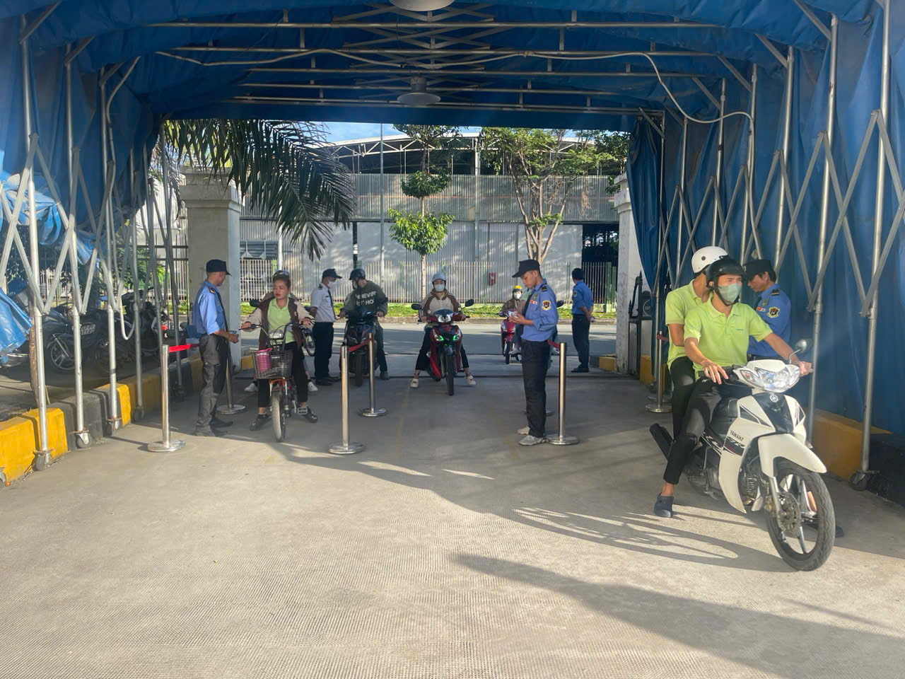 Bảo vệ Yuki Seppre tại kahong