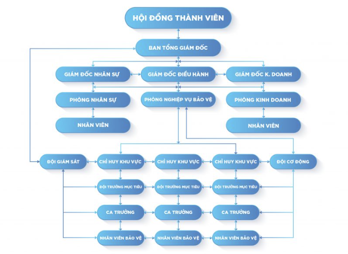 quy trình bảo vệ
