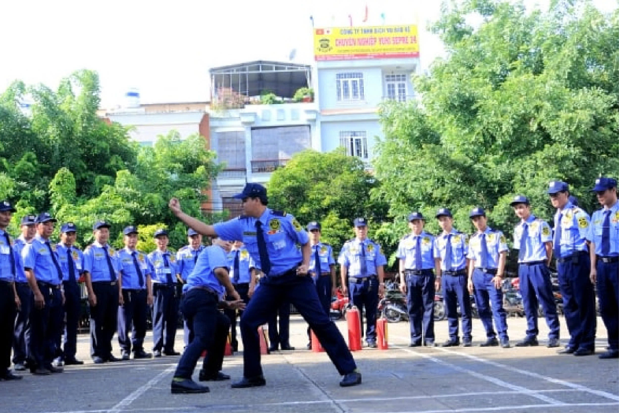 Đào tạo
